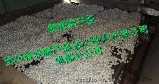 平床蠶繭烘干機，網(wǎng)帶蠶繭烘干機