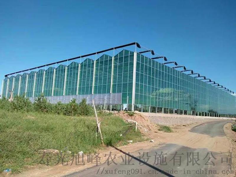 玻璃溫室，智能玻璃連棟溫室，玻璃智能溫室-壽光旭峰